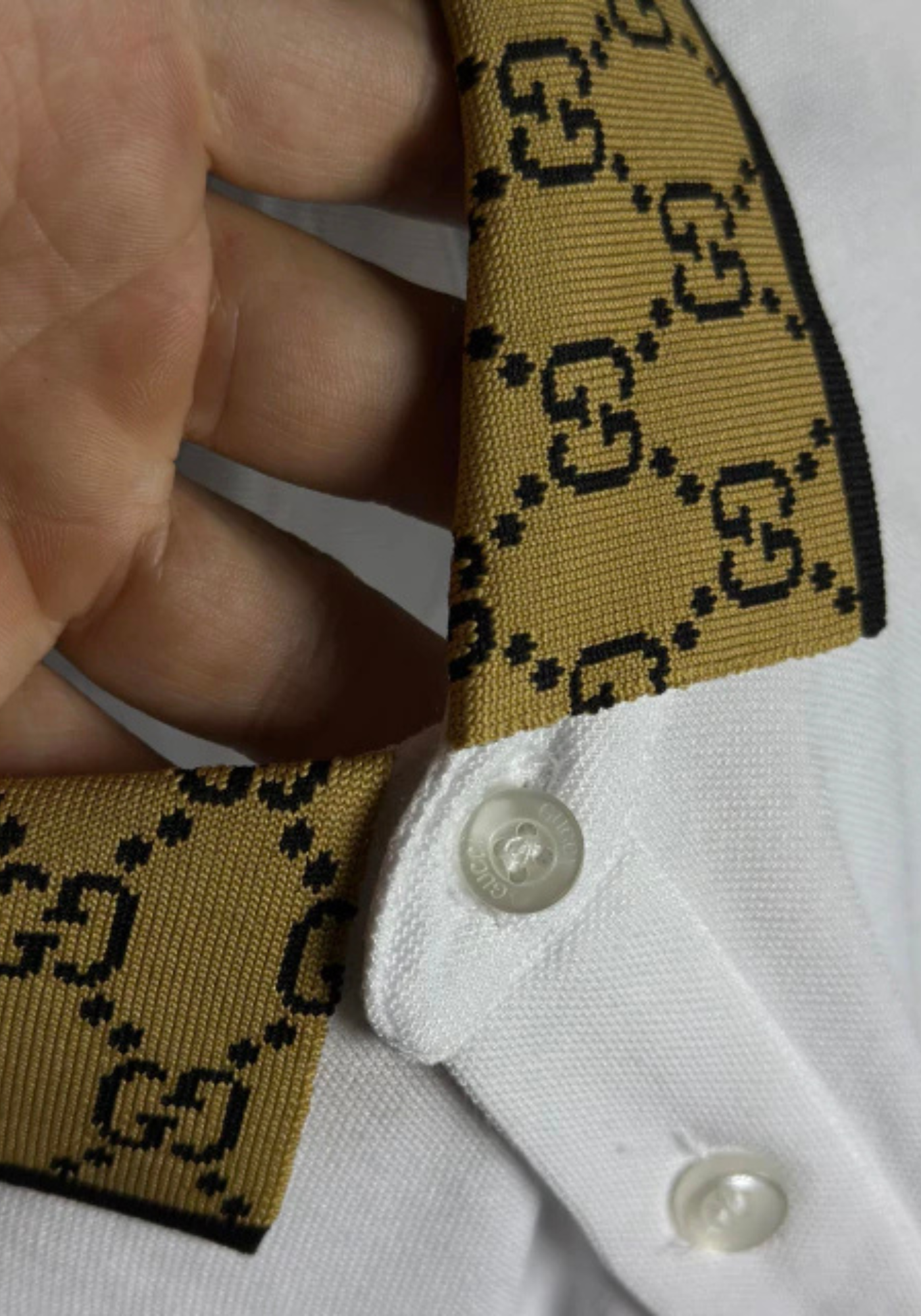 Polo Gucci